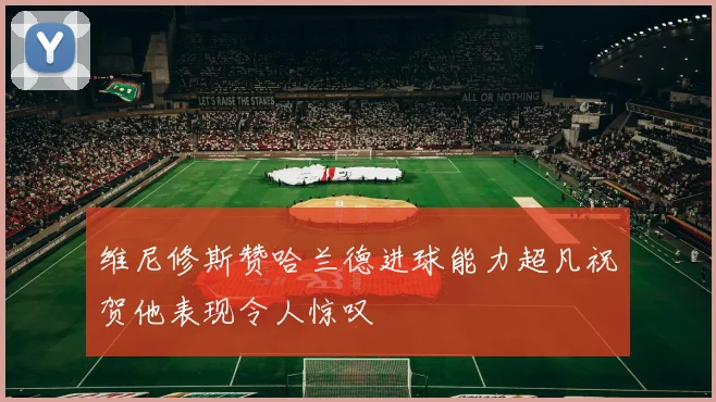 维尼修斯赞哈兰德进球能力超凡祝贺他表现令人惊叹